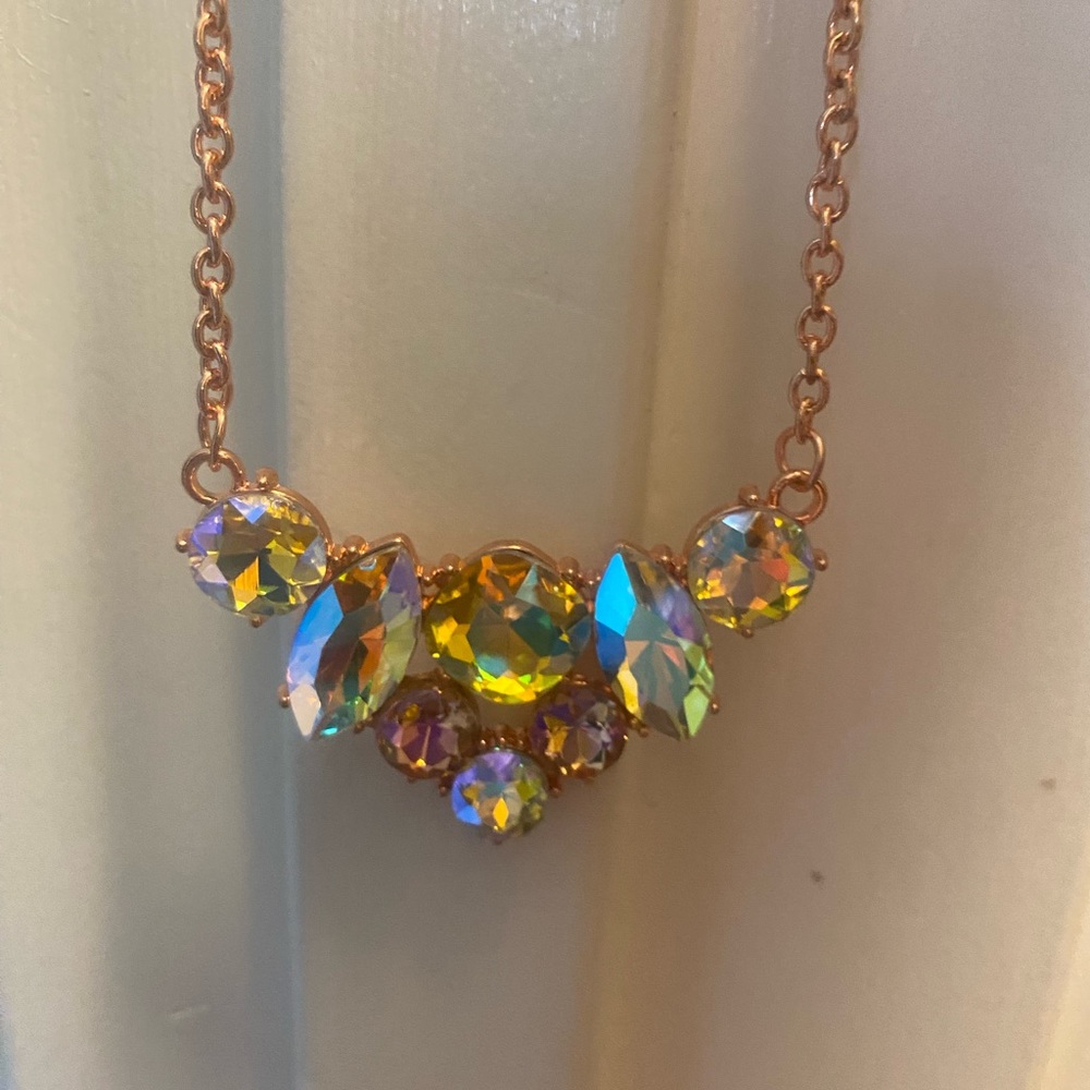 Paparazzi necklace amd earrings set